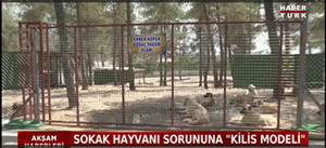 Kilis Geçici Rehabilitasyon ve Doğal Koruma Alanı Can Dostlarımızı Ağırlamaya Başladı.